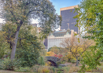 Gapstow bridge Central Park, New York City