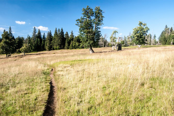 Almschachten mountain meadow with trees, pathway and blue sky with only few clouds in summer Bavarian Forest mountains in Germany