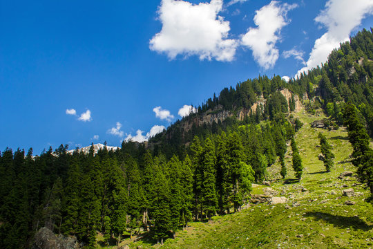 A beautiful view en route Betaab valley, Pahalgam.