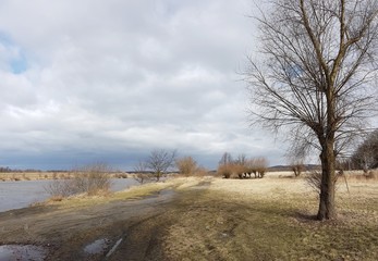 Droga polna © michalsen