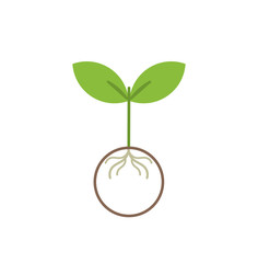 Little plant icon