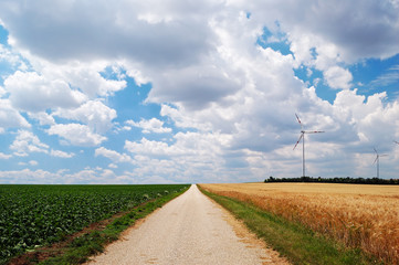 Countryside unpaved road between the fields
