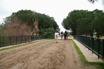 El Roc&iacute;o, Almonte, Huelva