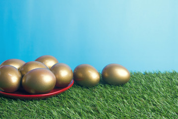 gold eggs on the grass