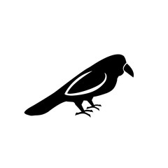 Silhouette of a raven or crow blackbird standing on legs