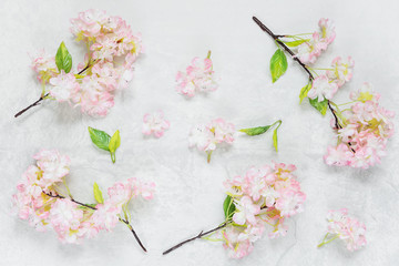 Obraz na płótnie Canvas Beautiful composition with cherry flowers