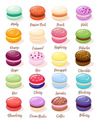 Macaroon set with isolated images of sweet fresh baked almond cookies of different taste and colour vector illustration