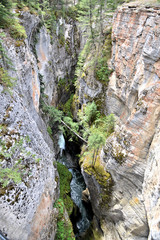 Rivière dans un canyon rocheux