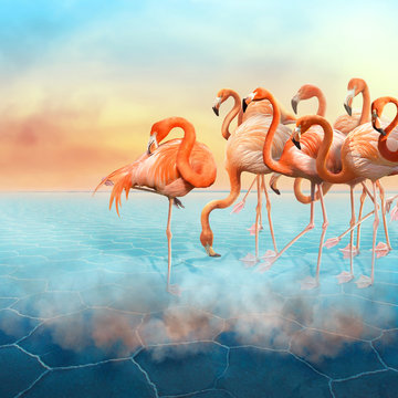 Fototapeta Colorful photomanipulation with red flamingo at right side in the desert  and sunset sky