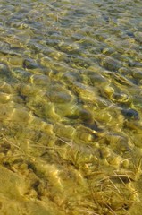 Agua cristalina
