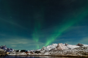 Fototapeta premium Aurora borealis at the lofoten islands