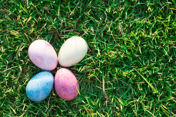 Easter eggs in Fresh Green Grass.