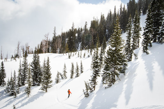 Skier walking on snowy slope by trees