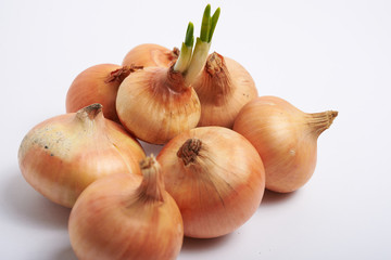 onions with green stems