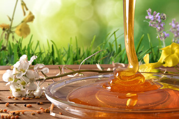 Honey falling into a glass dish with green nature background