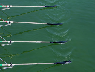 Close up oars of quadruple skulls rowing team race © smuki