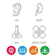 Lab bulb, medical plaster and ear icons. Kidney linear sign. Award medal, growth chart and opened book web icons. Download arrow. Vector