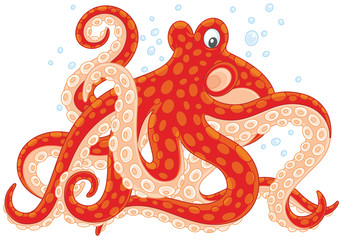 Red spotted octopus