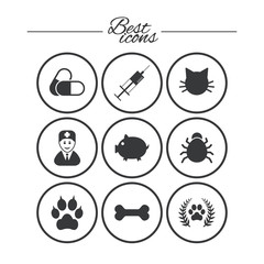 Veterinary, pets icons. Paw, syringe and bone.