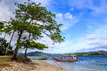 Tropical island landscape with tre and boats at shore, Palawan, Philippines