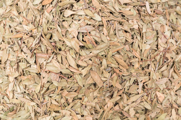 Spices and herbs  on street stal at Morocco traditional market.