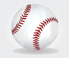 Baseball vector