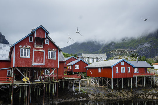 Traditional fishing cabins at the fishing Village of &Aring; (Aa),  Moskenes, Lofoten islands, Norway.