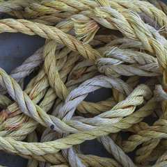 Loose coils of nylon rope, yellow and white colour.