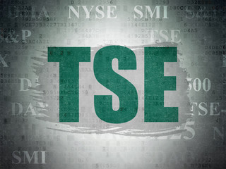 Stock market indexes concept: TSE on Digital Data Paper background