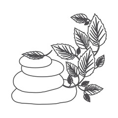 grayscale contour of lava stones and creeper plant vector illustration