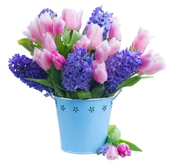 Glasschilderij Hyacint Roze tulpen en blauwe hyacinten bloemen in pot vaas geïsoleerd op een witte achtergrond