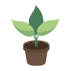 pot plant garden concept vector illustration eps 10