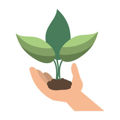 hand holding plant leaves vector illustration eps 10