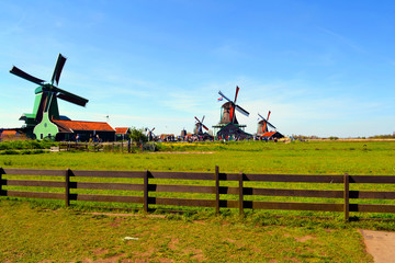 Fototapeta premium Historic Dutch Windmill in Zaanse Schans in the Netherlands