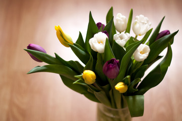 bunch of fresh purple, yellow and white tulip flowers in a vase close up