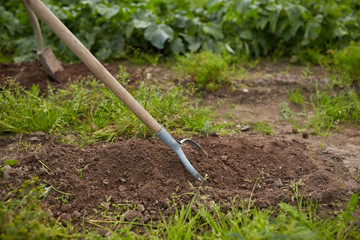 rearer weeding garden bed at farm
