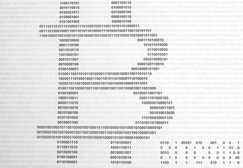 Obraz premium bitcoin on the background of binary code
