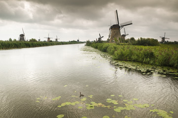 windmill in holland