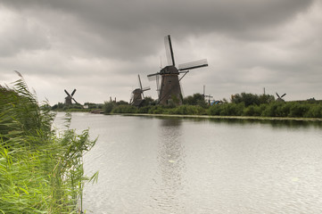 Naklejka premium windmill in holland
