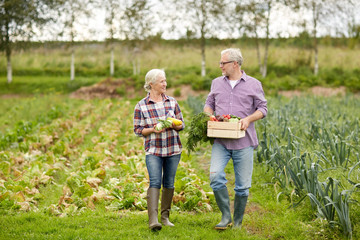 Naklejka na ściany i meble senior couple with box of vegetables on farm