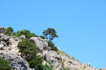 Mountain covered with green bushes and grass on a background of blue sky