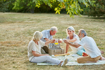 Senioren haben Spaß beim Picknick