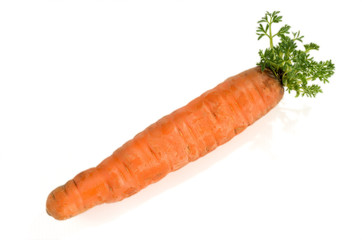 Carrot with the germ isolated on white background.