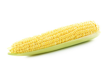 Sweet corn isolated on a white