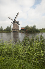 Naklejka premium windmill in holland