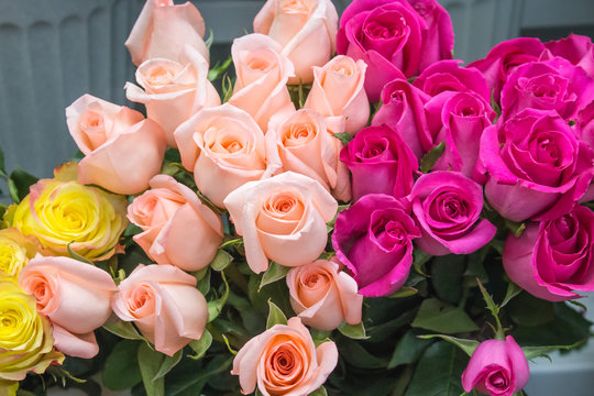 Fototapeta Bunch of big pink red and tea roses
