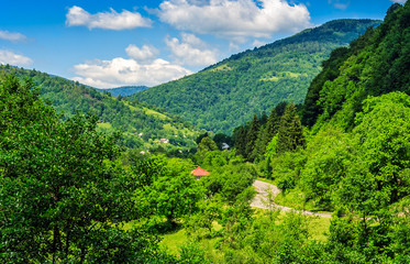 Fototapeta premium rural area in Carpathian valley