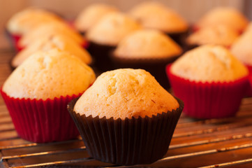 baking cupcake, muffins on Oven-tray close up