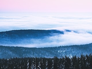 Inverse weather in mountains, shinning fog. Misty valley in winter