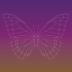 Geometric linear butterfly. Vector illustration
